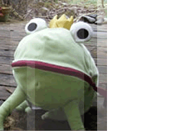 pict_frosch